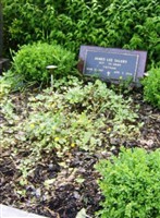 Sgt James Lee Salery