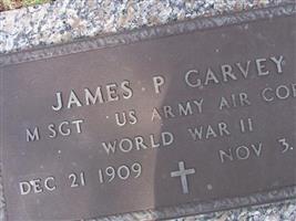 Sgt James P Garvey