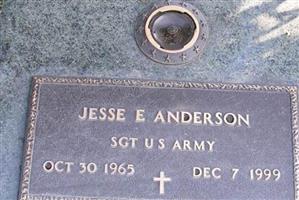 Sgt Jesse E Anderson