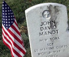 Sgt John David Mandt