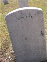 Sgt Ulysses Battle