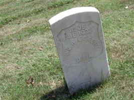 Sgt William R Eckert