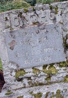 Sgt William T. Donoho (2045144.jpg) Sgt William T. Donoho (2045144.jpg)