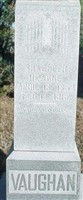 Shaeffer Hearne Vaughan (2396349.jpg) Shaeffer Hearne Vaughan (2396349.jpg)