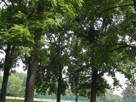 Shaker Cemetery