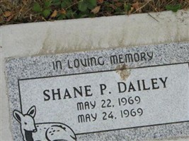 Shane P. Dailey Shane P. Dailey
