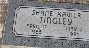 Shane Xavier Tingley Shane Xavier Tingley