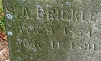 Shannon A. Brickley Shannon A. Brickley
