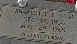 Sharlotte E Moss