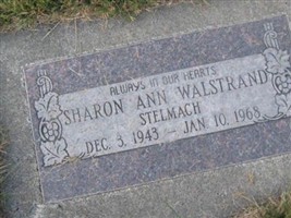 Sharon Ann Walstrand Stelmach Sharon Ann Walstrand Stelmach
