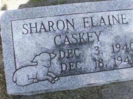 Sharon Elaine Caskey