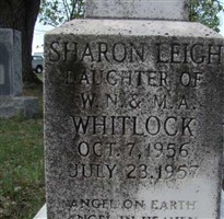 Sharon Leigh Whitlock Sharon Leigh Whitlock