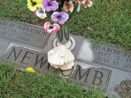 Sharon Renee Robertson Newcomb