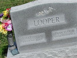 Sharon Y Looper