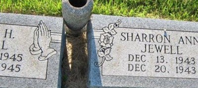 Sharron Ann Jewell Sharron Ann Jewell