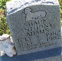 Shaun Anthony Adams