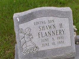 Shawn H Flannery