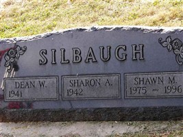 Shawn M Silbaugh