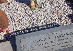 Shawn T. Van Hemert Shawn T. Van Hemert