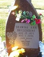 Shawna Ann Brizendine
