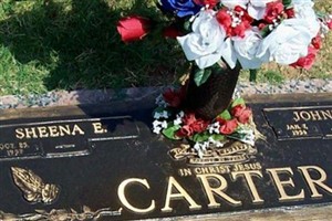 Sheena E. Carter Sheena E. Carter