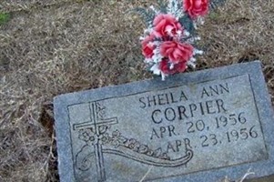 Sheila Ann Corpier