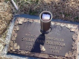 Sheila Ann Holbrook Sheila Ann Holbrook