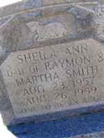 Sheila Ann Smith