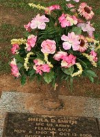 Sheila D Smith