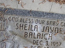 Sheila Jayne Balaich