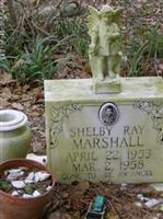 Shelby Ray Marshall (2060027.jpg)