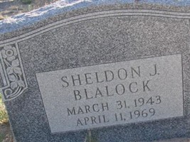 Sheldon J Blalock