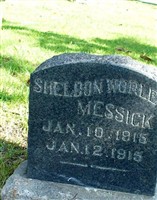 Sheldon Worley Messick