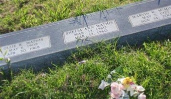 Shelia Ann Mathis Shelia Ann Mathis