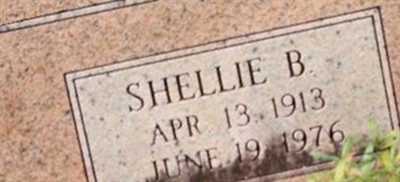 Shellie B. Jones Shellie B. Jones