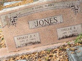 Shellie B. Jones Shellie B. Jones