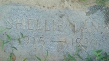 Shellie Lane Shellie Lane