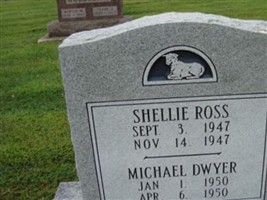 Shellie Ross Shellie Ross