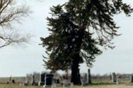 Shelton Cemetery