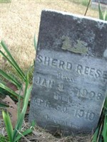 Sherd Reese
