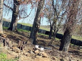 Sherman-Hicks-Family Cemetery