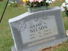 Sherri Ann Haycox Nelson