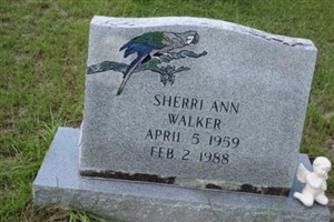 Sherri Ann WALKER