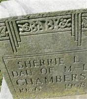 Sherrie L Chambers Sherrie L Chambers