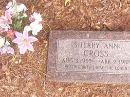 Sherry Ann Cross