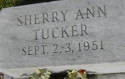 Sherry Ann Tucker Sherry Ann Tucker