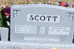Sherry Elaine Scott