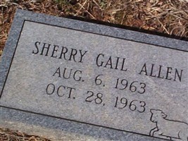 Sherry Gail Allen