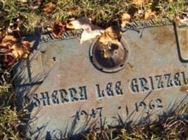 Sherry Lee Grizzell