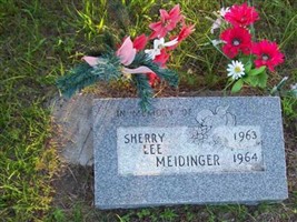 Sherry Lee Meidinger Sherry Lee Meidinger